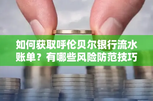 如何获取呼伦贝尔银行流水账单？有哪些风险防范技巧？