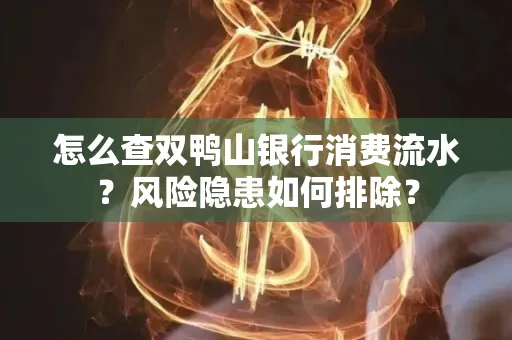 怎么查双鸭山银行消费流水？风险隐患如何排除？