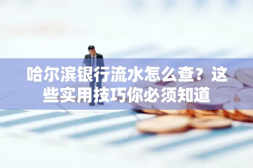 哈尔滨银行流水怎么查？这些实用技巧你必须知道