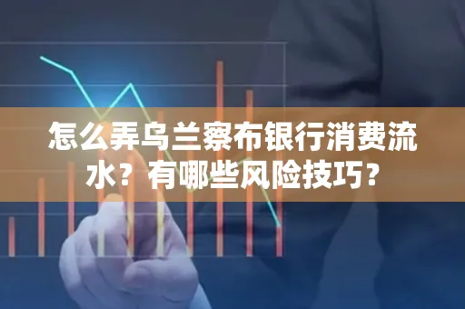 怎么弄乌兰察布银行消费流水？有哪些风险技巧？