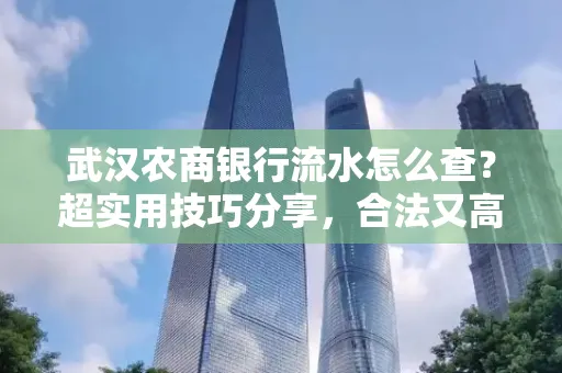 武汉农商银行流水怎么查？超实用技巧分享，合法又高效！